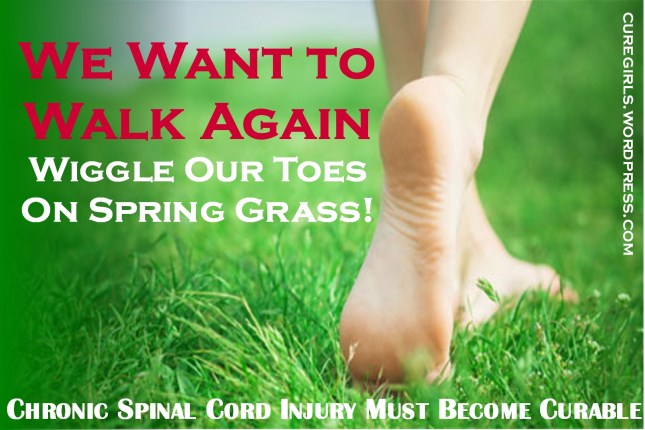 We Want to Walk Again