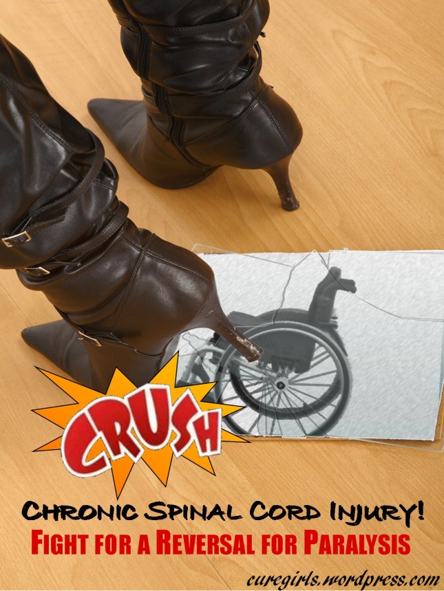 Crush Chronic Spinal Cord Injury!
